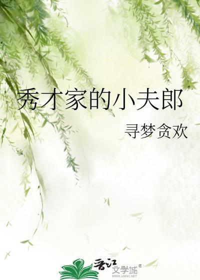 秀才家的小夫郎txt