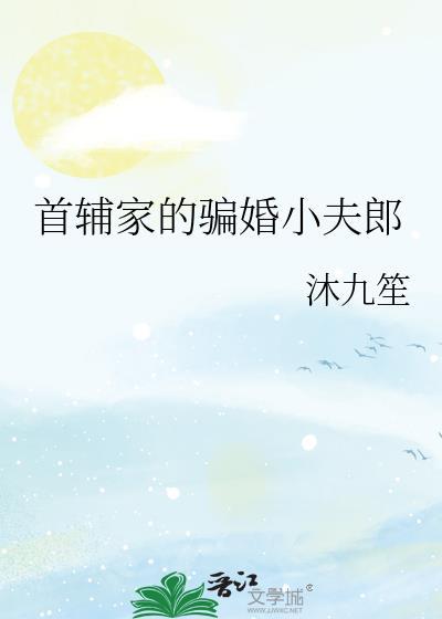 首辅家的骗婚小夫郎by沐九笙免费阅读