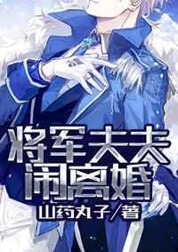 将军夫夫闹离婚by