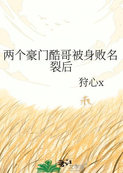 两个酷哥的恋爱