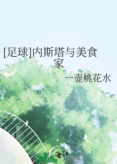 足球内斯塔与美食家TXT