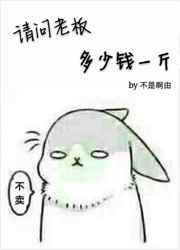 是现在的老板酒多少钱