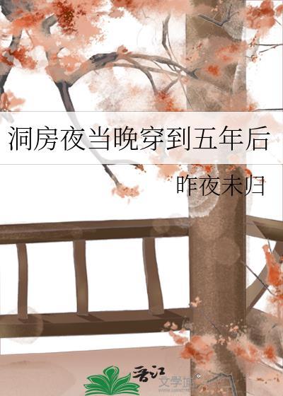 穿到洞房花烛夜之后作者吴下阿若
