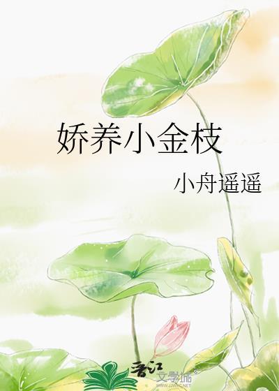 娇养小金枝TXT全文