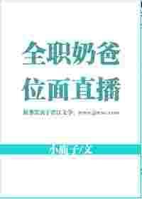 全职奶爸一囗气看完
