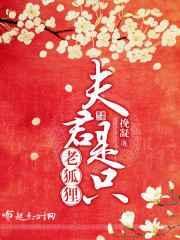 夫君只只都是狼全文免费阅读