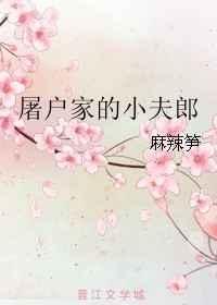 屠户家的小夫郎by七里濑