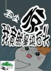 我是个石头尽情嘶嚎吧