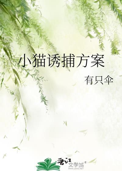 诱捕猫咪