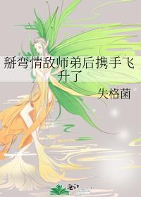 掰弯情敌攻略