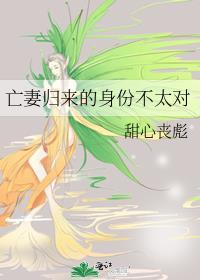 亡妻归来的身份不太对免费阅读