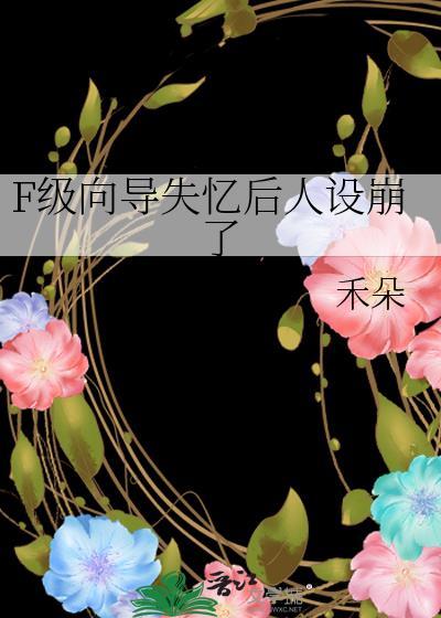 F级向导和S级异能