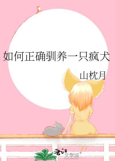 如何正确驯养一只疯犬